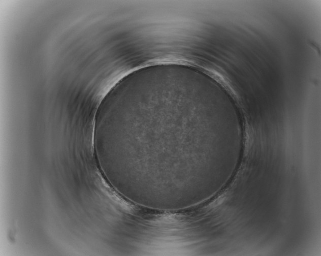 X0000103311228200809051537