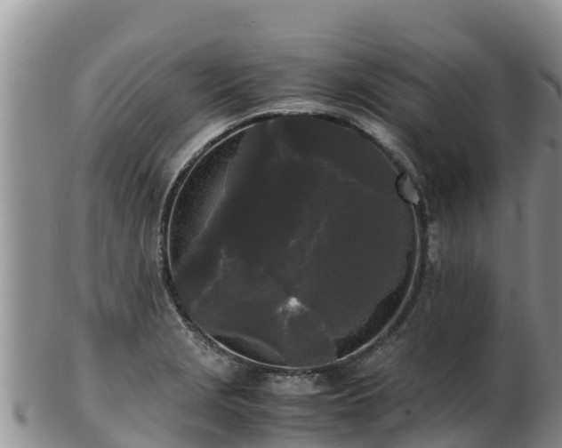 X0000103311229200809051537