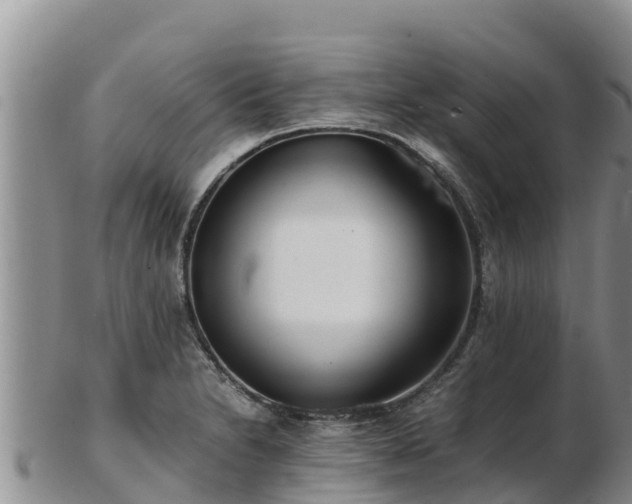 X0000103311230200809051537