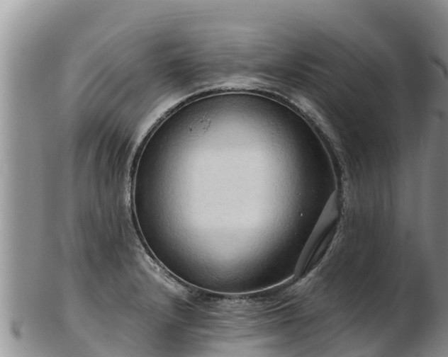 X0000103311232200809051537