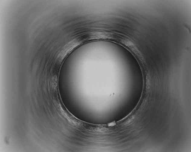 X0000103311233200809051537