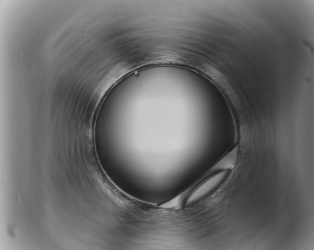 X0000103311234200809051537