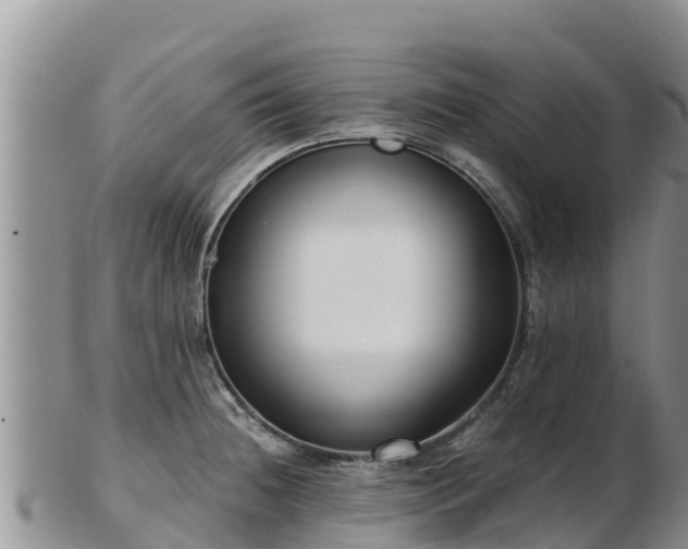 X0000103311236200809051537