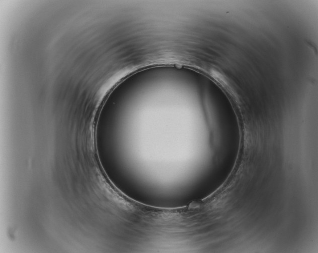 X0000103311238200809051538