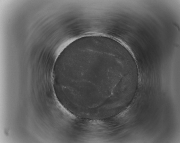 X0000103311239200809051538