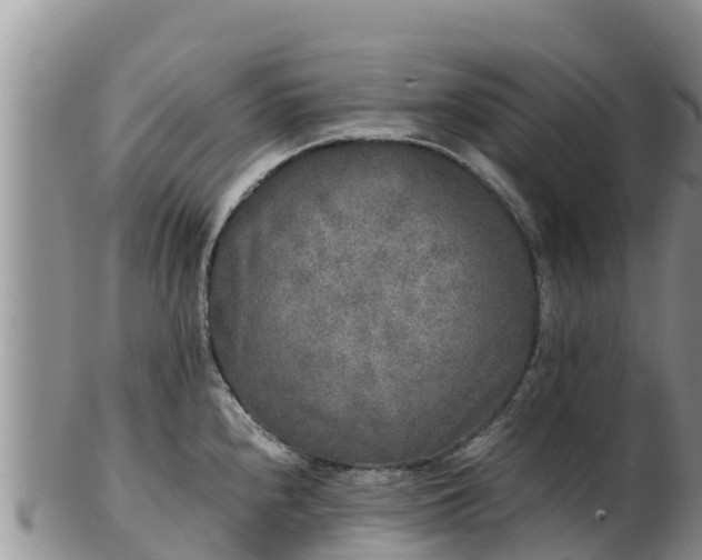 X0000103311240200809051538