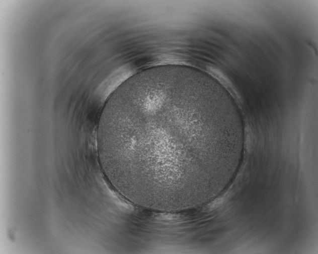 X0000103311241200809051538