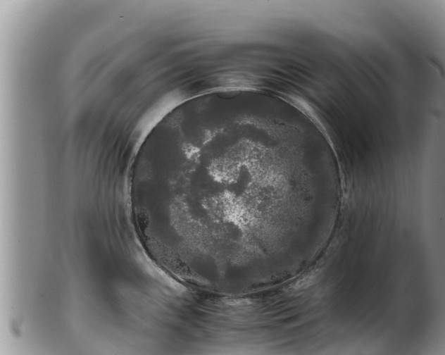X0000103311243200809051538