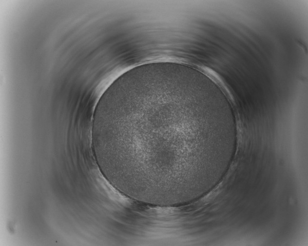 X0000103311244200809051538