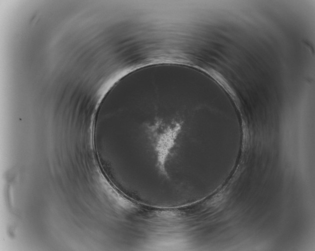 X0000103311246200809051538