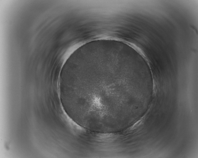 X0000103311247200809051538