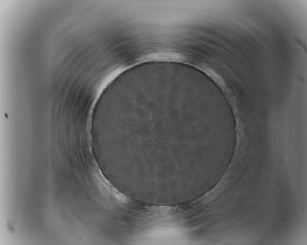 X0000103311248200809051538