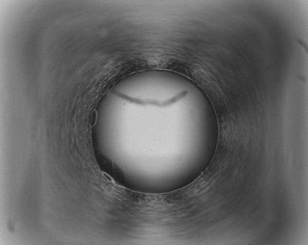 X0000103311249200809051537