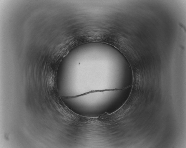 X0000103311250200809051537