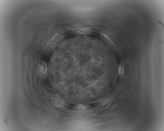 X0000103311251200809051537