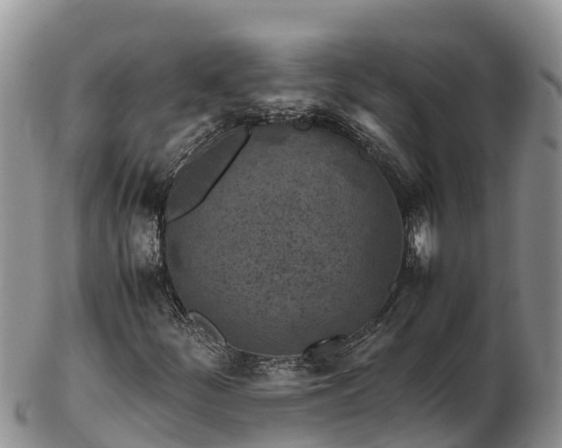 X0000103311252200809051537