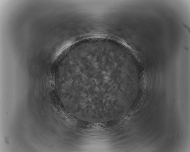 X0000103311255200809051537