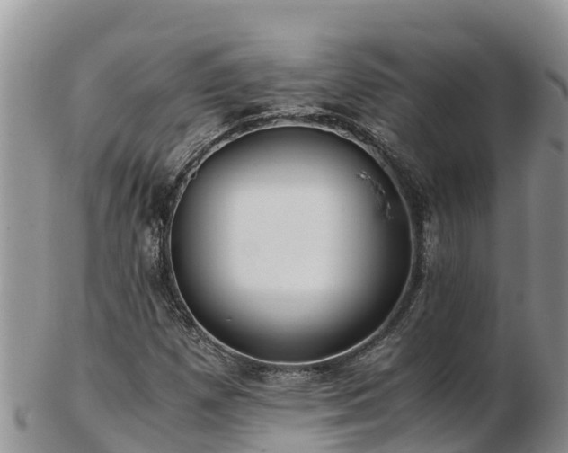 X0000103311257200809051537