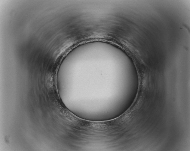 X0000103311258200809051537
