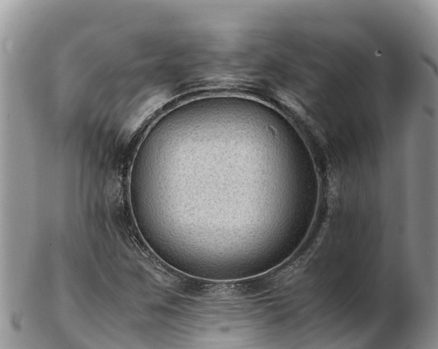 X0000103311259200809051537
