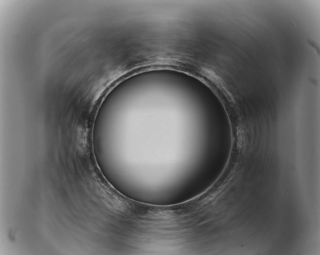 X0000103311260200809051537