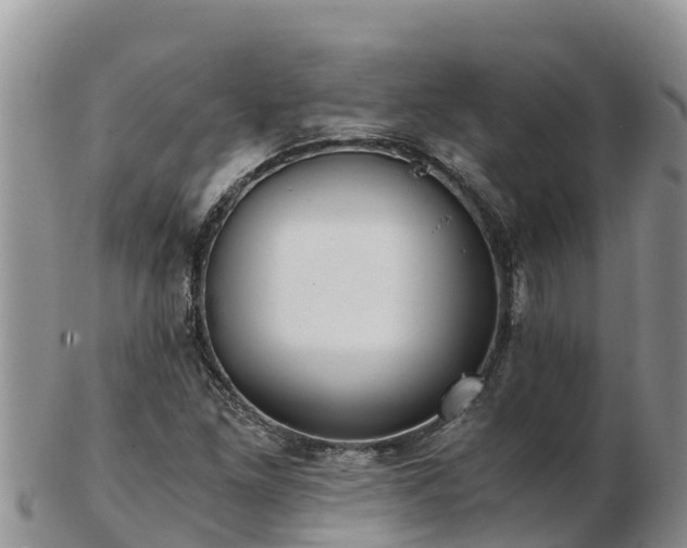 X0000103311261200809051537