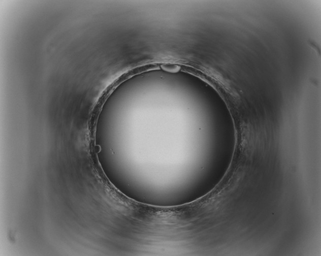 X0000103311264200809051537