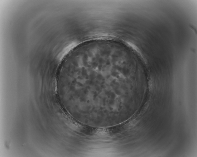 X0000103311267200809051537