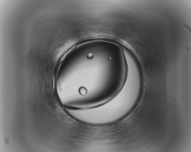 X0000103311269200809051537