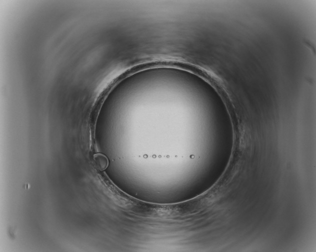 X0000103311271200809051537