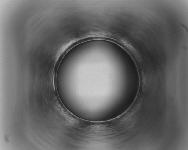 X0000103311272200809051537