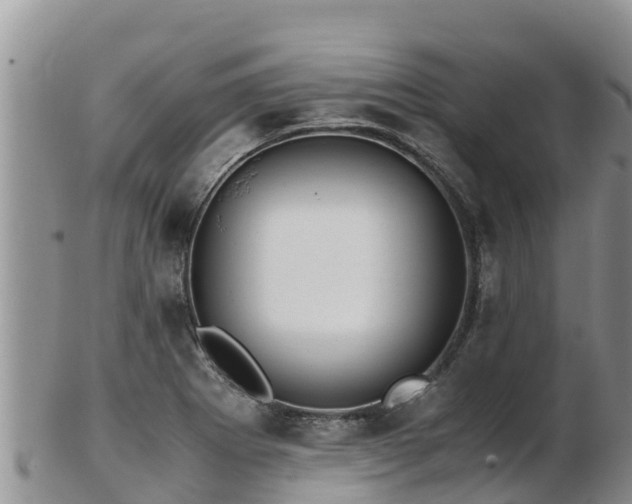 X0000103311273200809051537