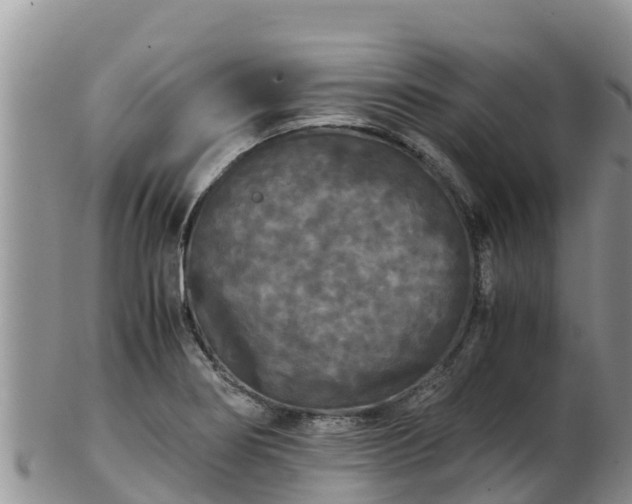 X0000103311274200809051537