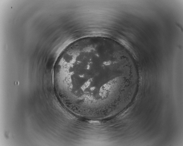 X0000103311275200809051537