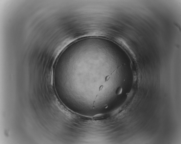 X0000103311276200809051537