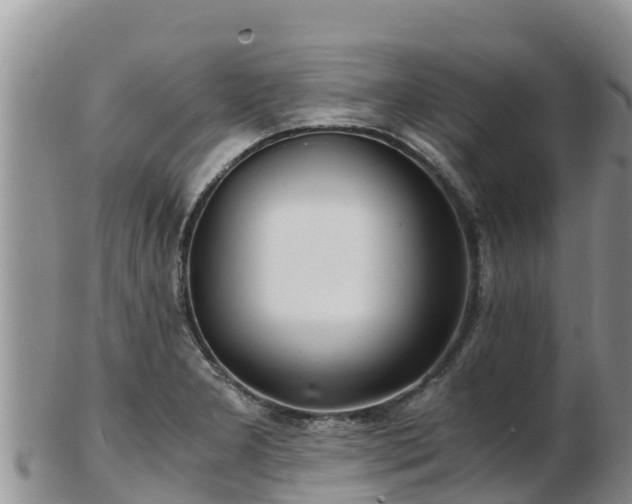 X0000103311277200809051537