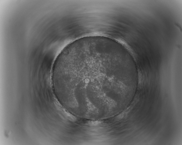 X0000103311278200809051537