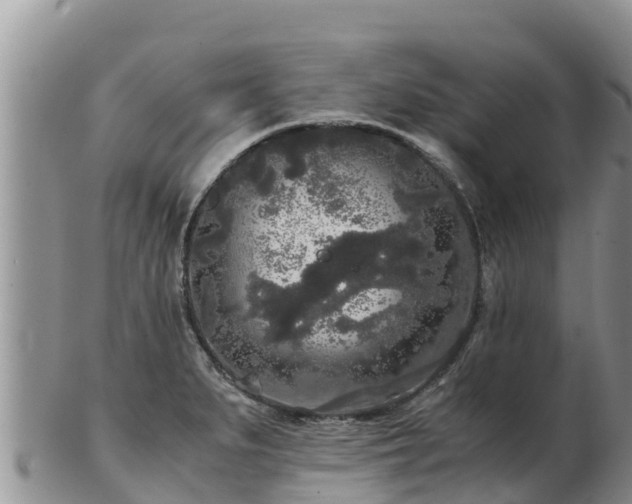 X0000103311279200809051537