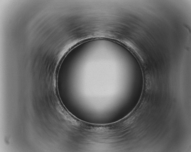 X0000103311280200809051537