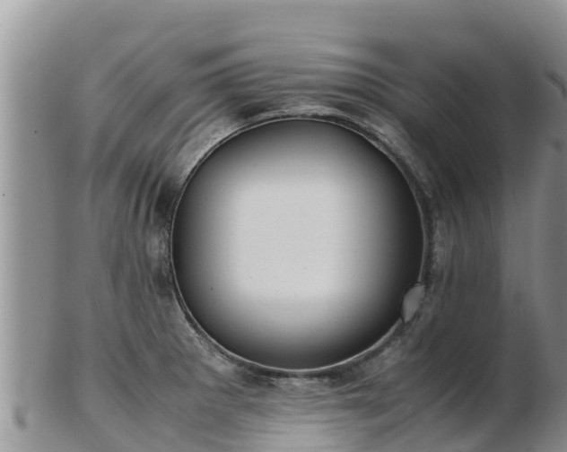 X0000103311281200809051537