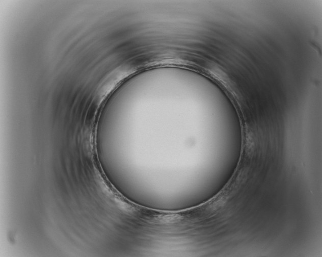 X0000103311282200809051537