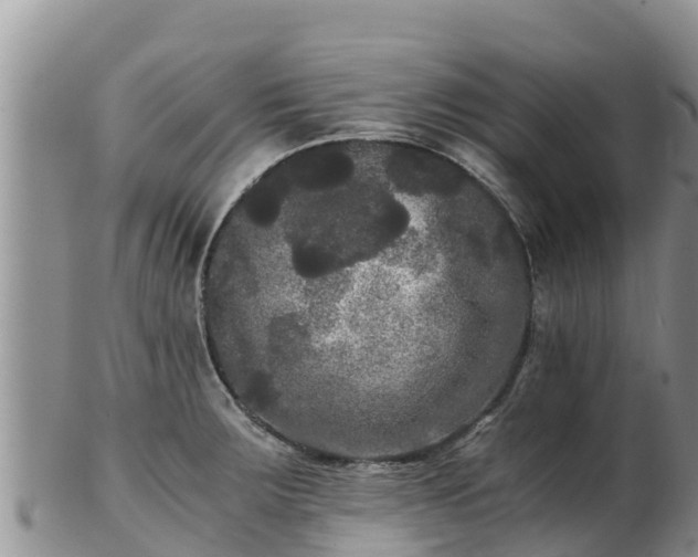X0000103311283200809051536