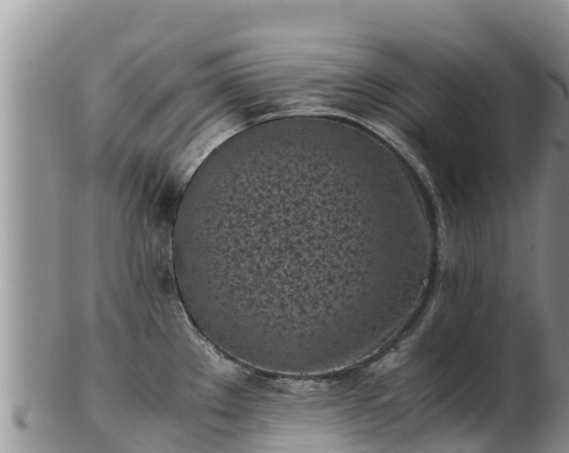 X0000103311289200809051536