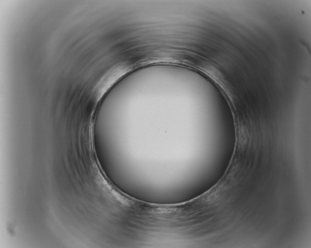X0000103311290200809051536