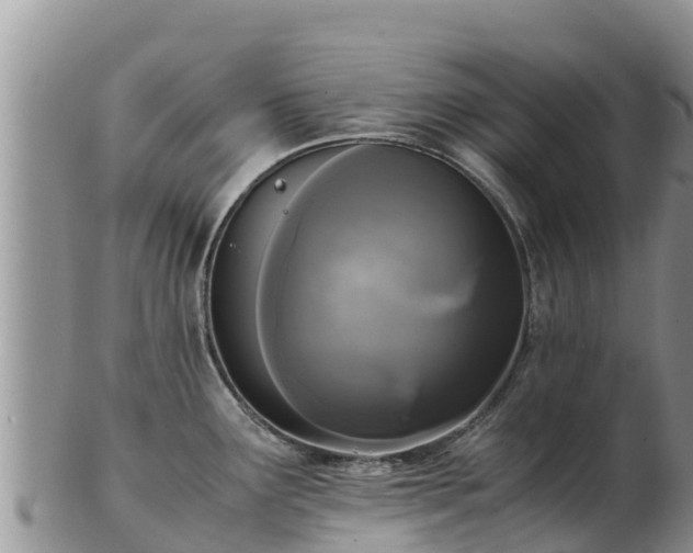 X0000103311291200809051536