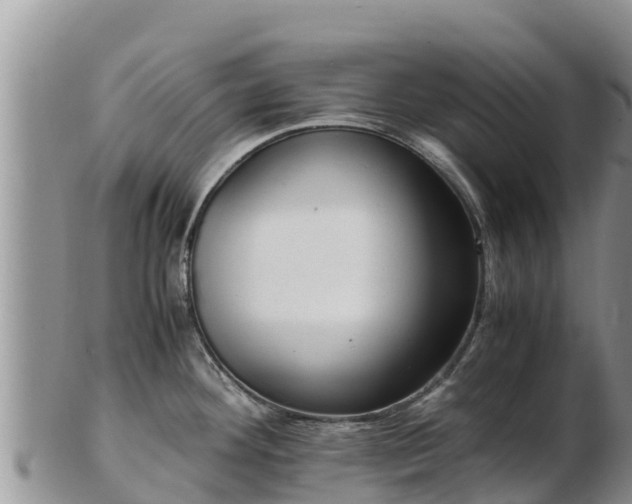 X0000103311292200809051536