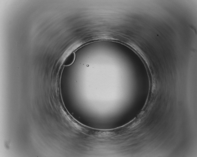 X0000103311293200809051536