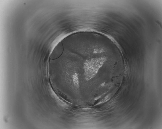 X0000103311295200809051536