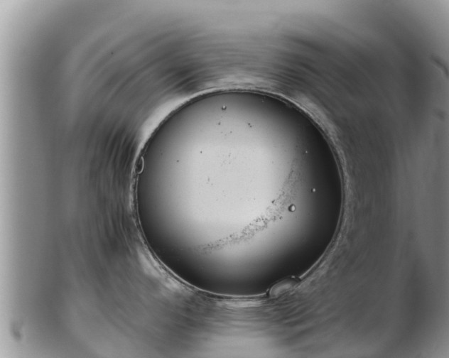 X0000103311296200809051536