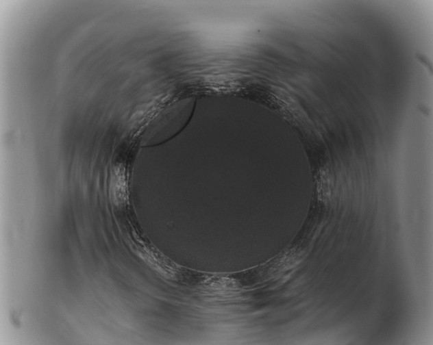 X0000103311298200809051536